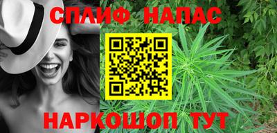крисы Гагарин