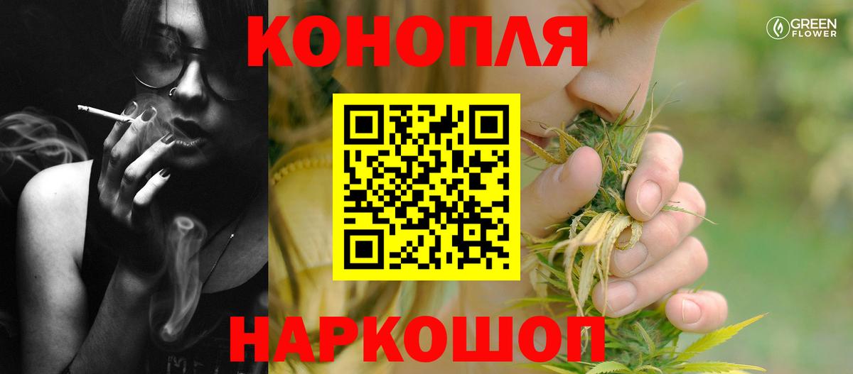 Шишки марихуана семена Новоалександровск